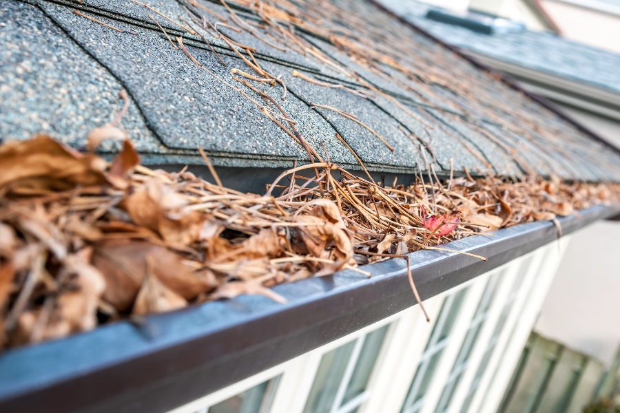 Clogged eavestrough filled with leaves and branches 
