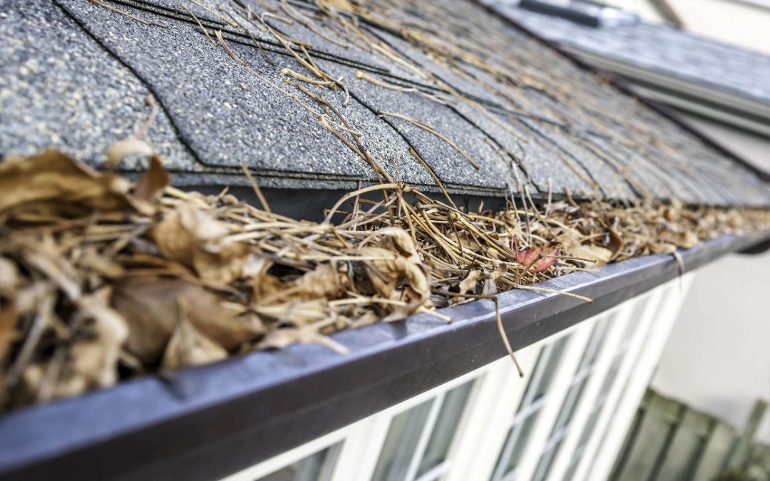 Cleaning Your Eavestrough: How to Do it Safely