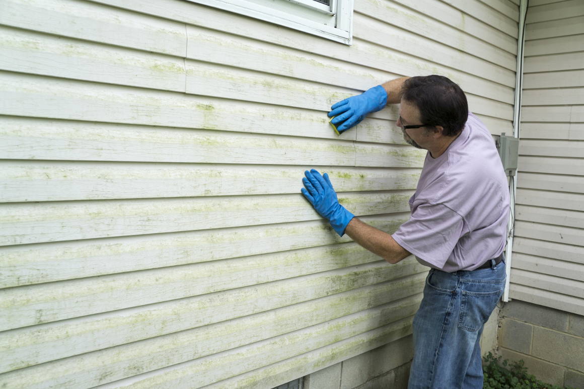 Person cleaning vinyl siding of home with a spunge