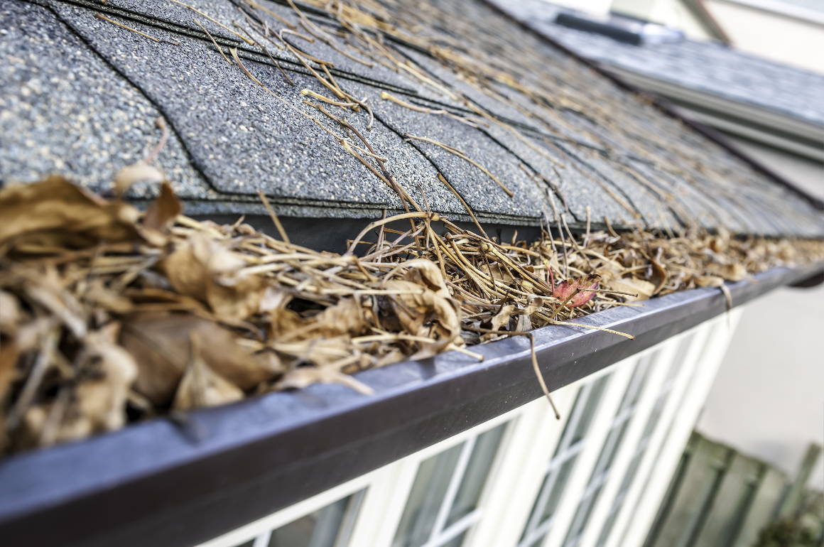 Clogged Eavestroughing in Need of Cleaning