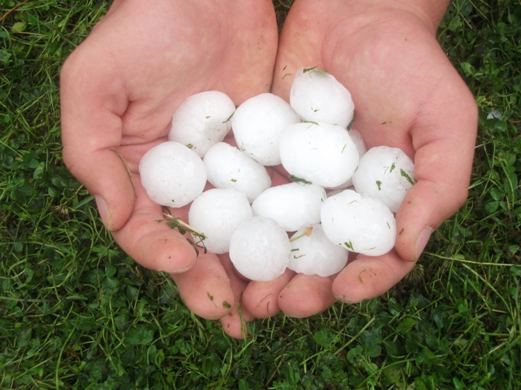Large sized hail in persons hand held above lawn 