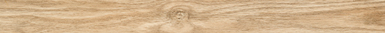 Oak Wood Texture