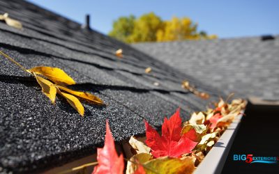 Seasonal Guide: Fall Home Maintenance Checklist (Alberta Edition)