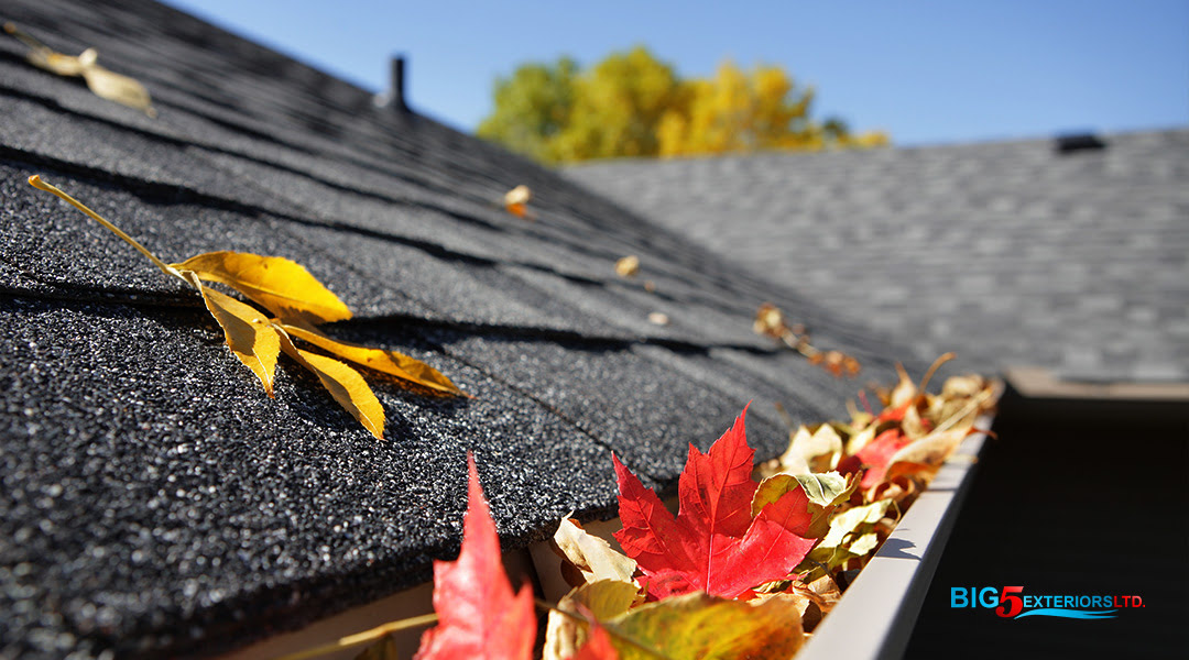 Seasonal Guide: Fall Home Maintenance Checklist (Alberta Edition)