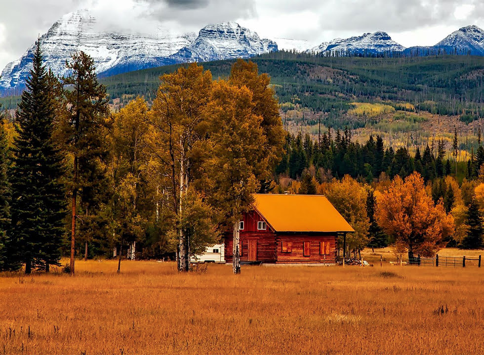 Brown cabin near trees and mountains during fall