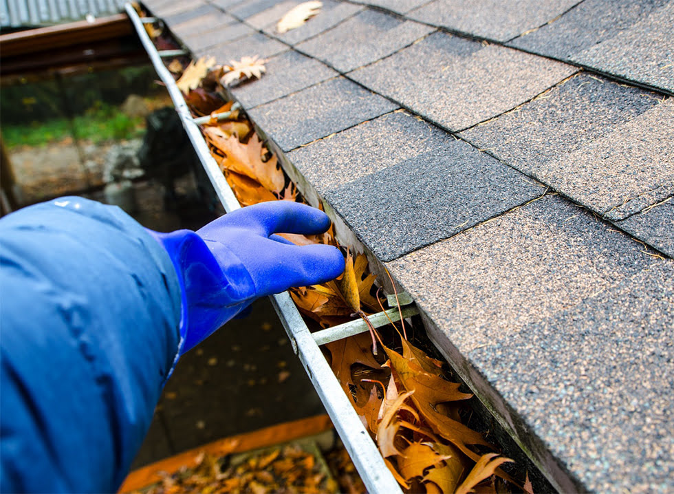 Hand with blue glove reaching for leaves in gutter