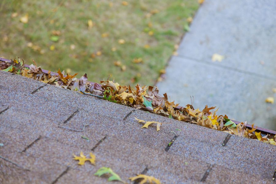 A close-up of a gutter clogged with leaves, sticks, and other debris.