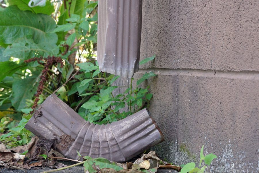 The curved end of a broken eavestrough drainpipe sits at the base of the cement wall of a home, surrounded by plants, trees, and leaves.